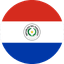 Speaker flag